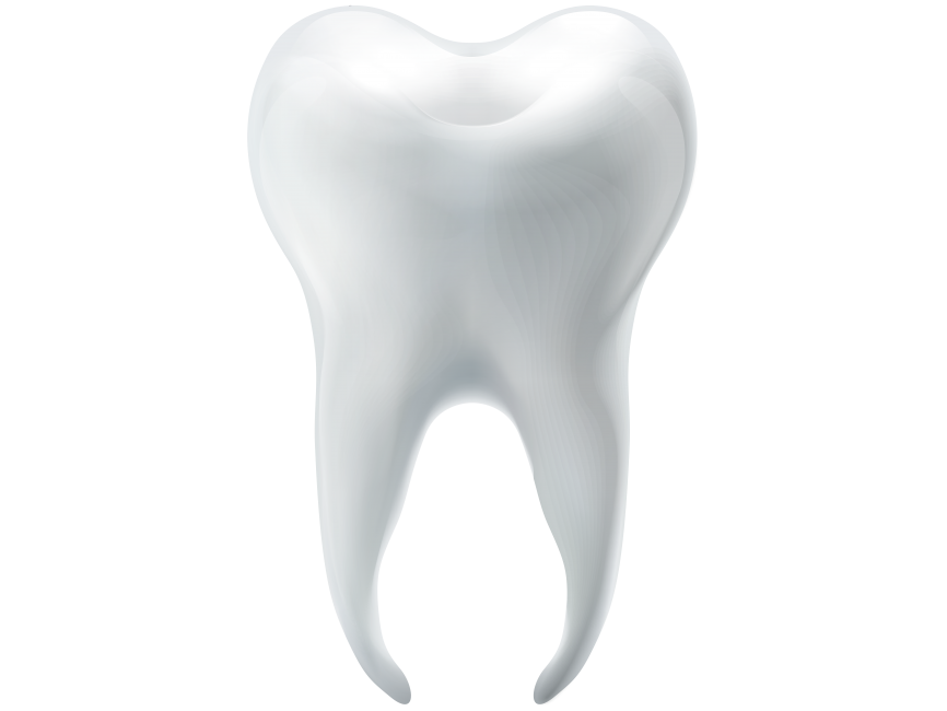 3D Tooth