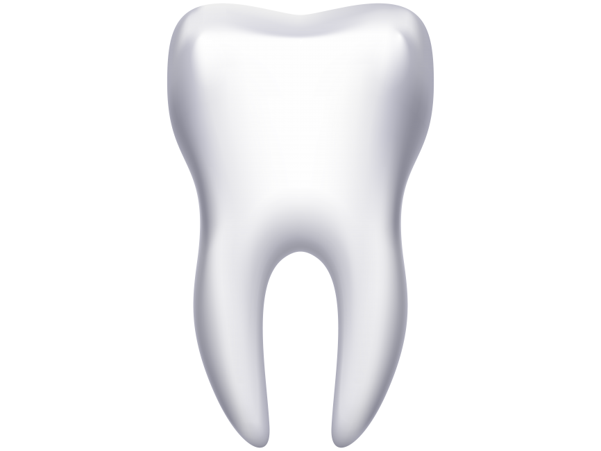 3D Tooth