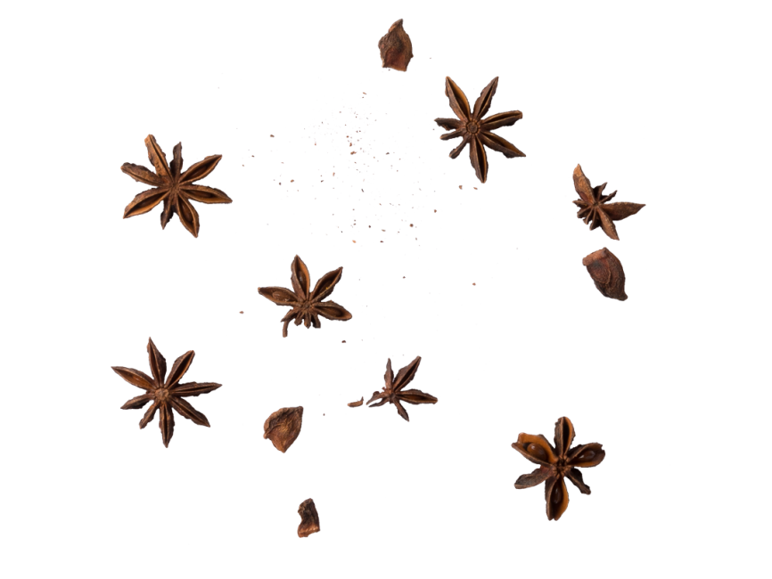 Anise