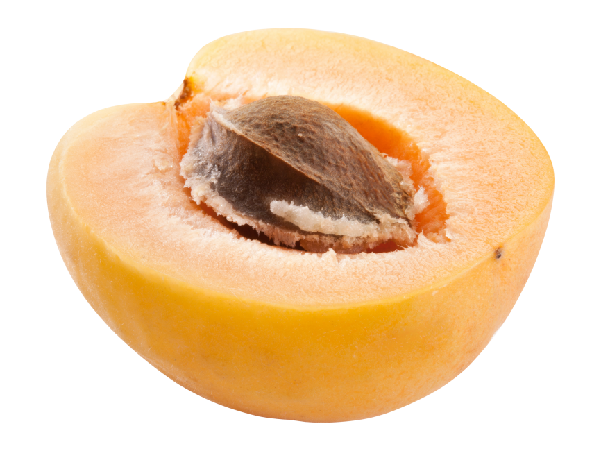 Apricot