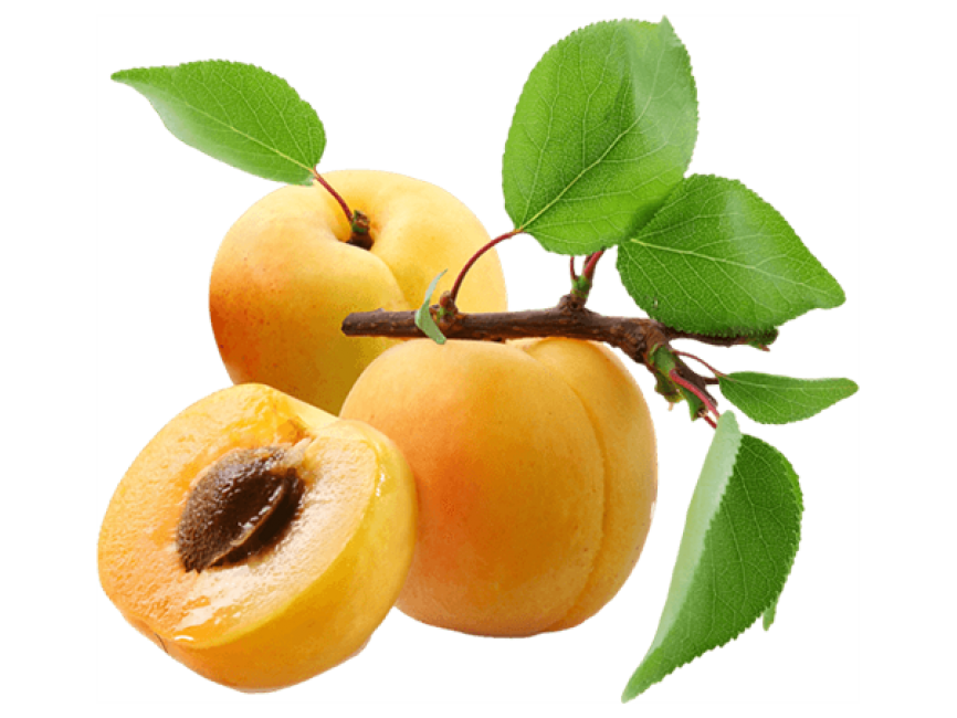 Apricot