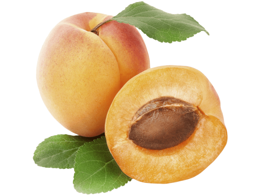 Apricot