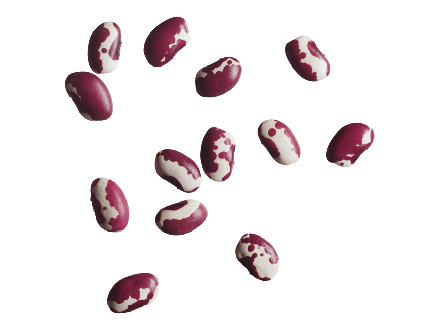 Beans