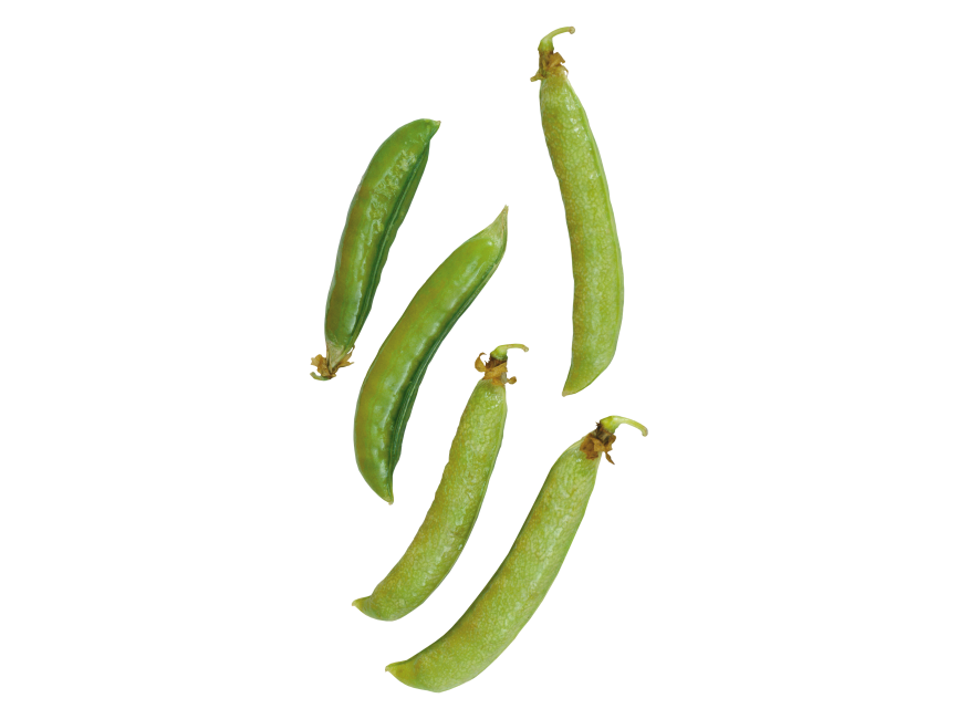 Beans