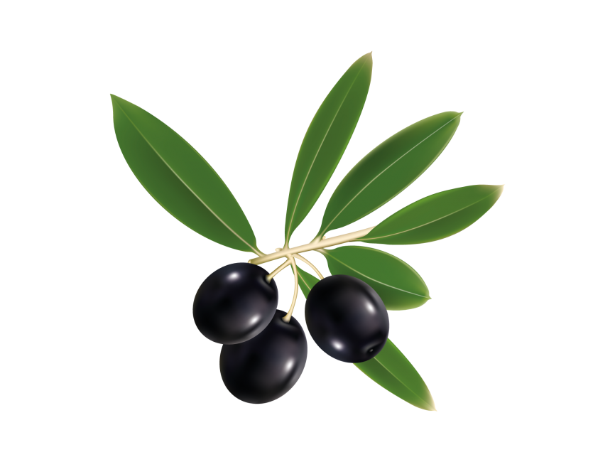 Black Olive