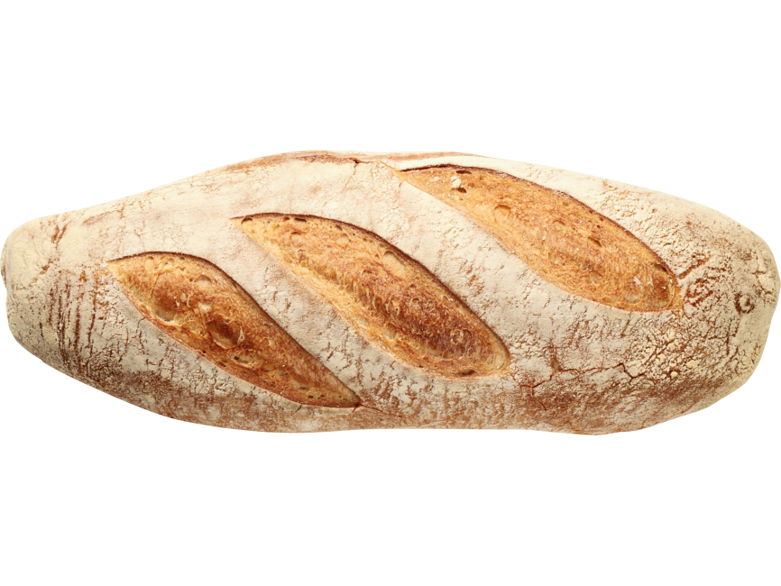 Bread