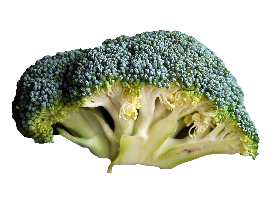 Broccoli