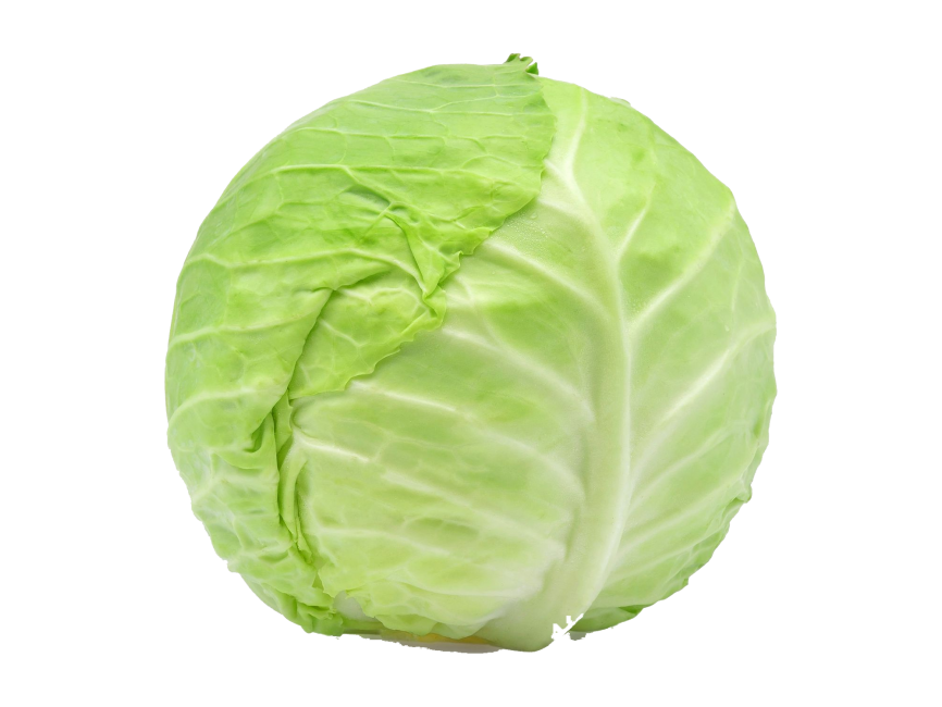 Cabbage