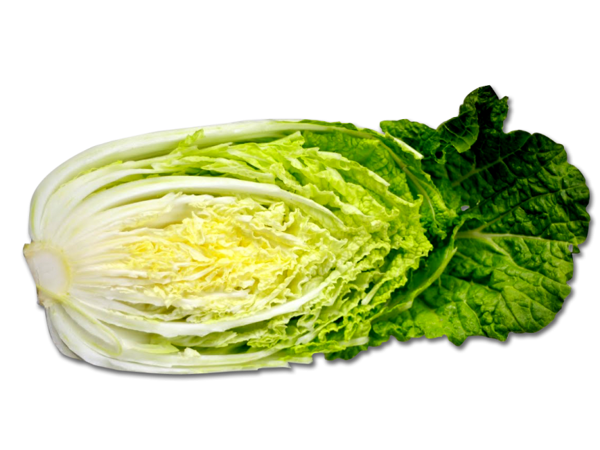 Cabbage