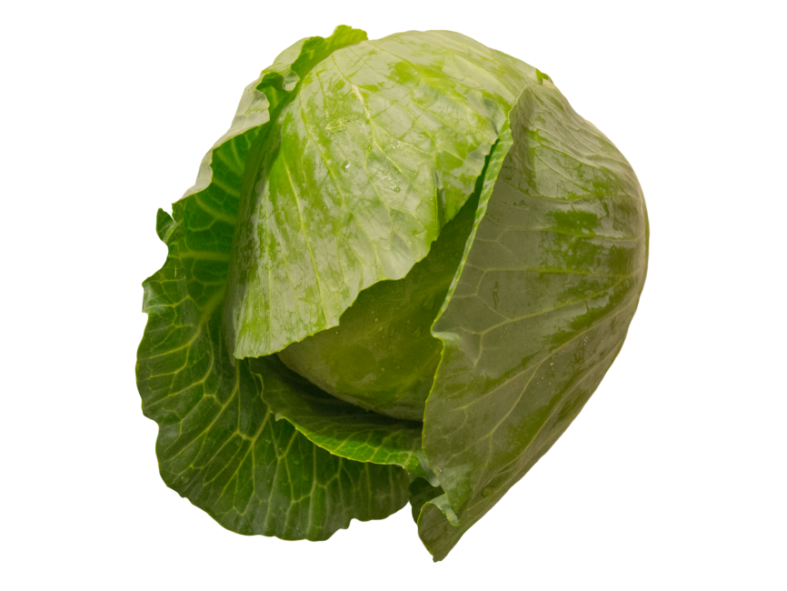 Cabbage
