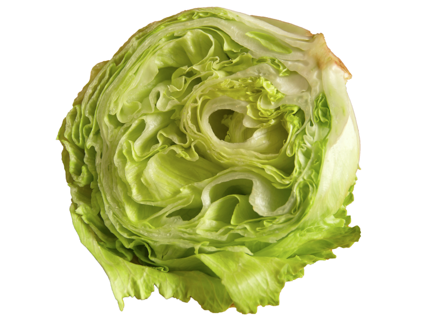 Cabbage Half