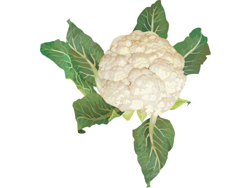 Cauliflower