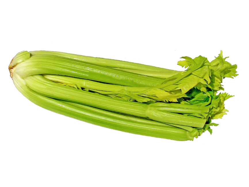 Celery