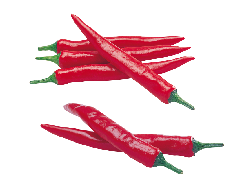 Chile Pepper