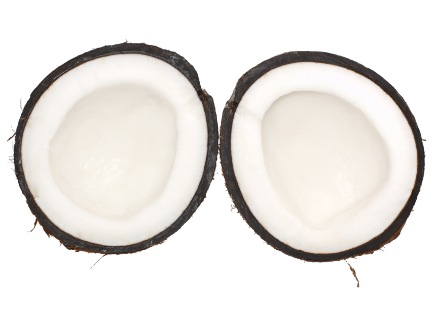 Coconut