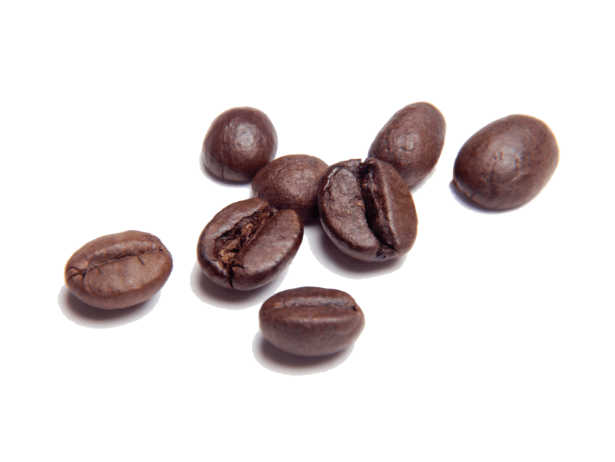 Coffee Bean
