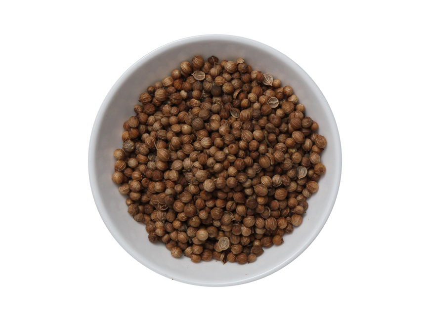 Coriander