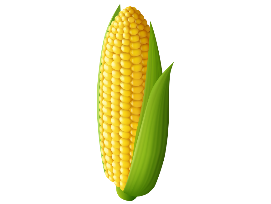 Corn