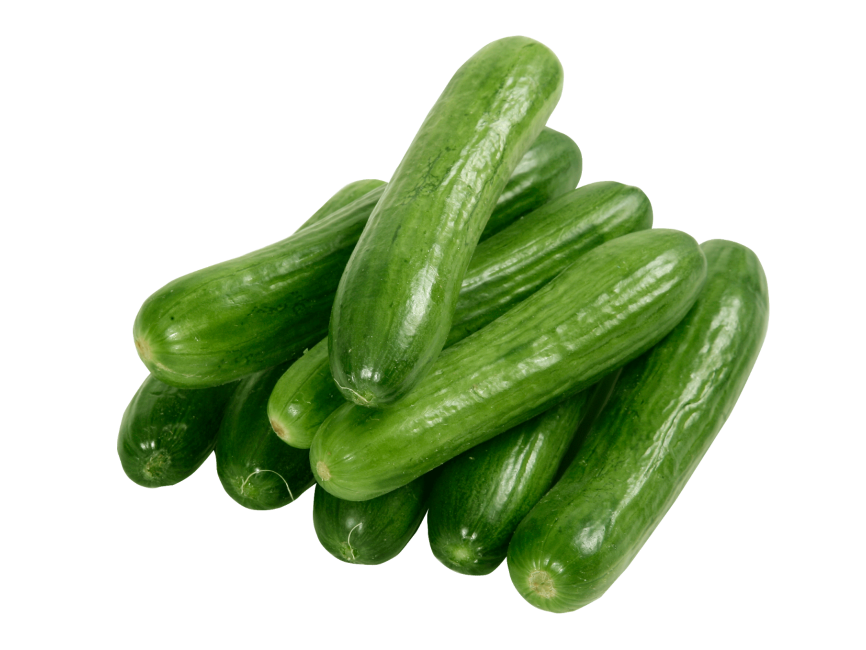 Cucumber