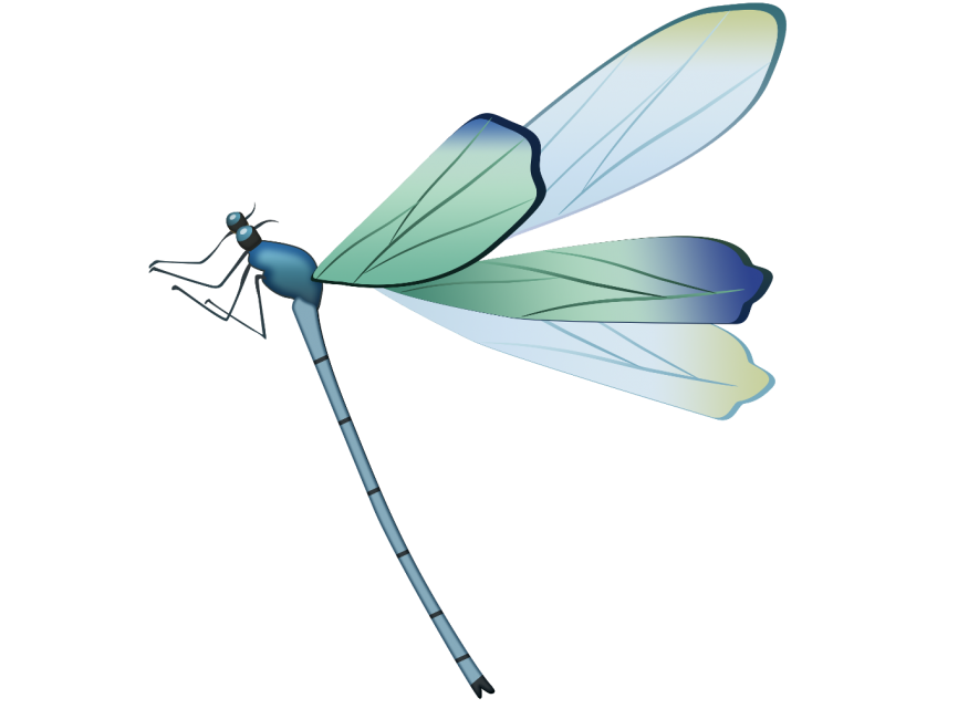Dragonfly