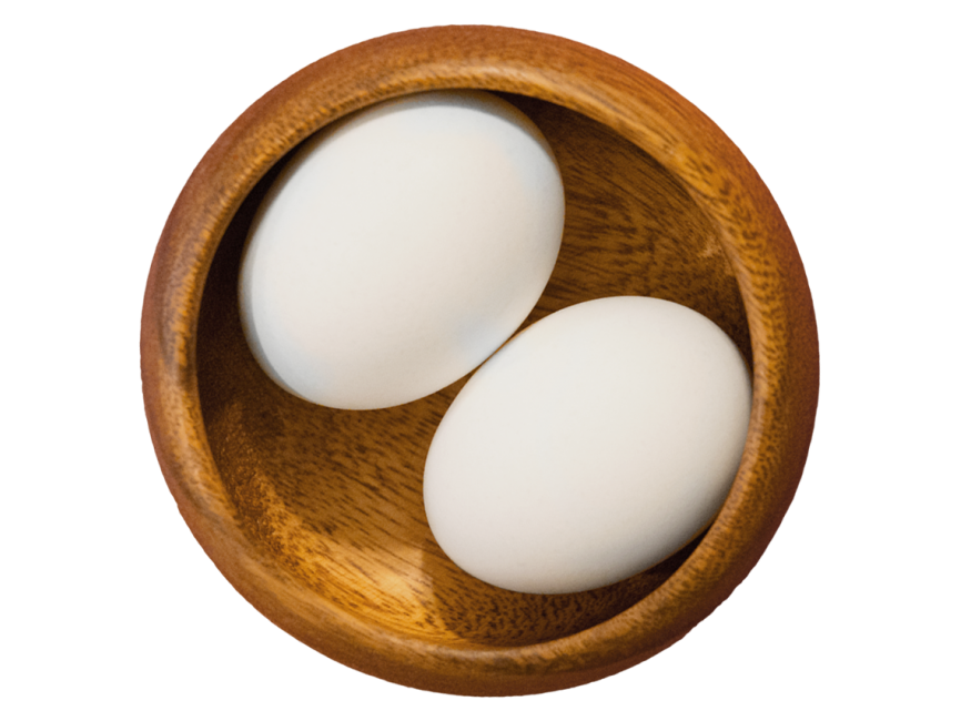 Egg