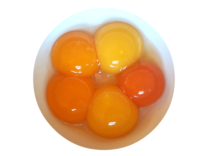 Eggs In Bowl