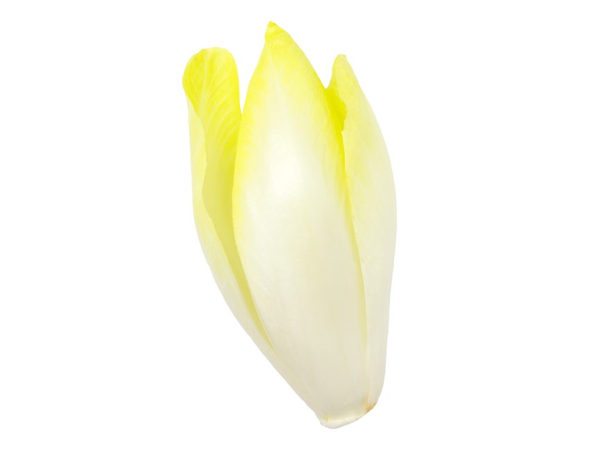 Endive