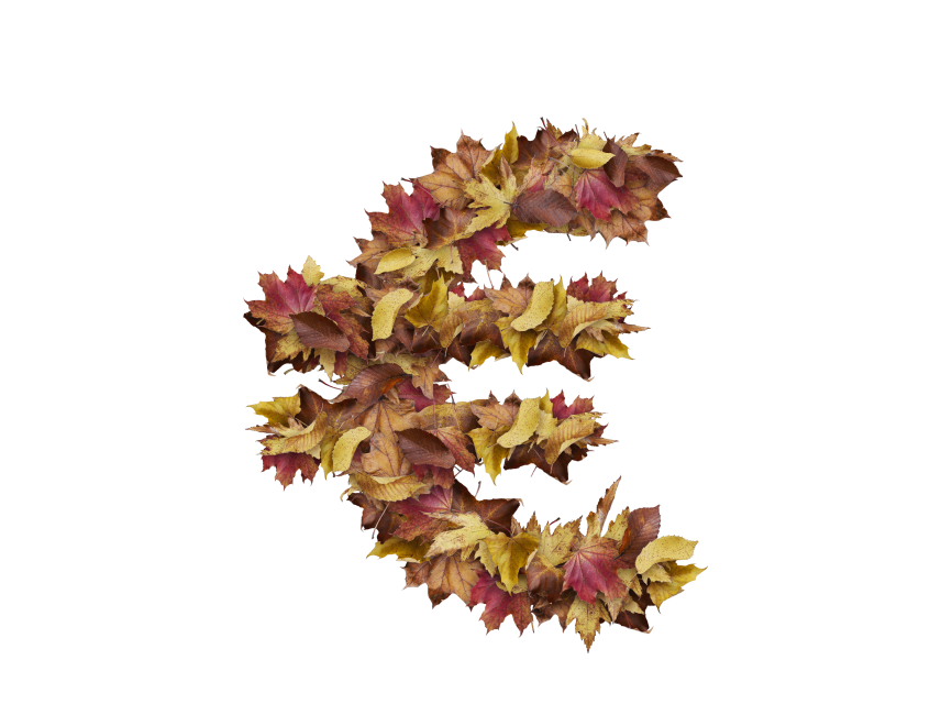 Euro Symbol with Dry Leaves