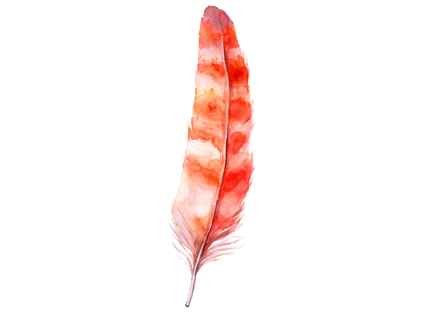 Feather