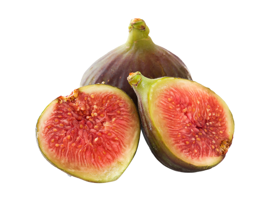 Fig