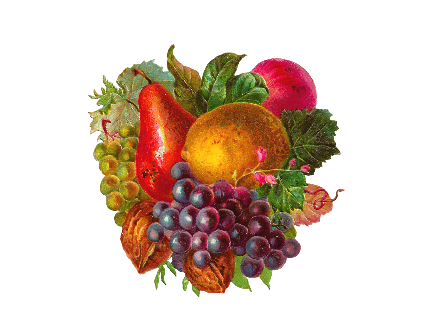 Fruits