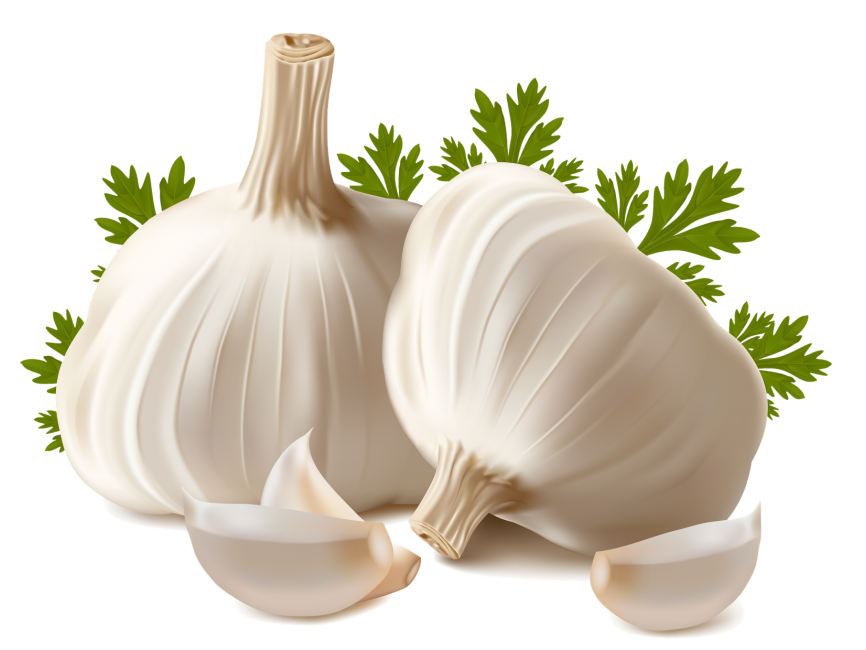 Garlic