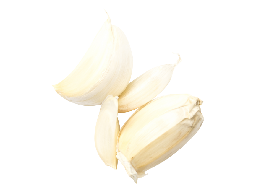 Garlic