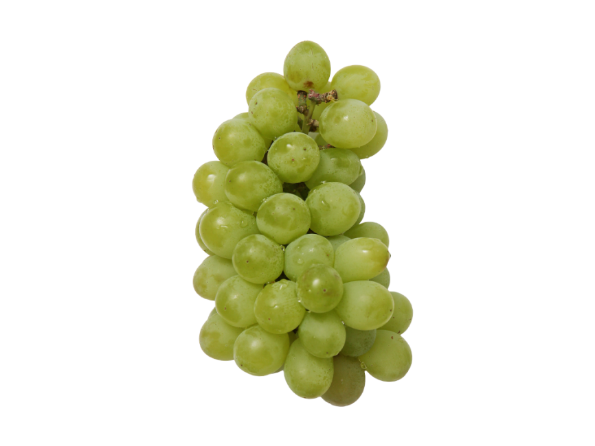 Grape