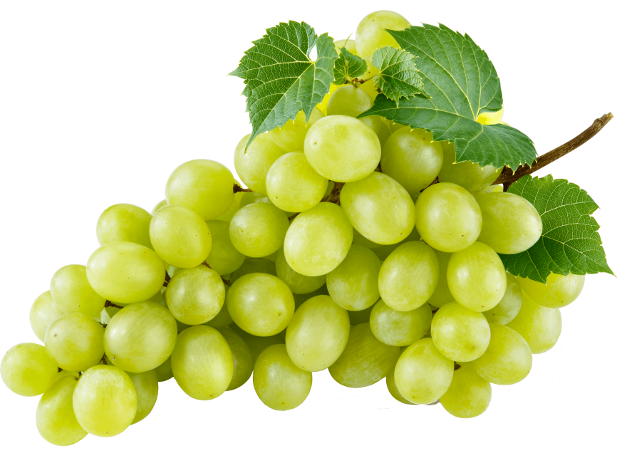 Grape