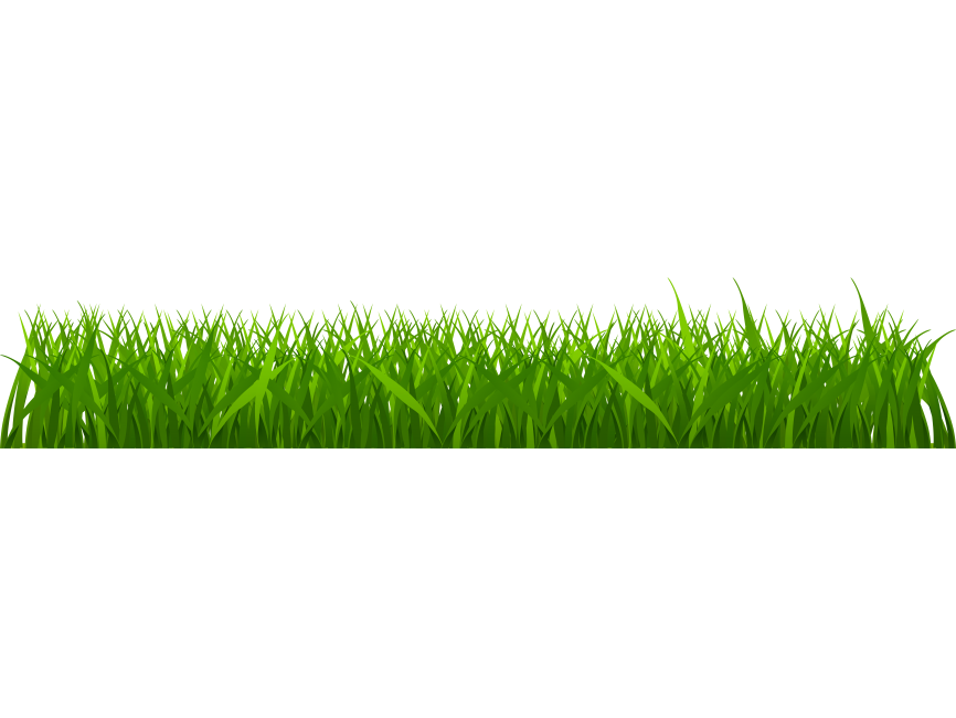 Green Grass