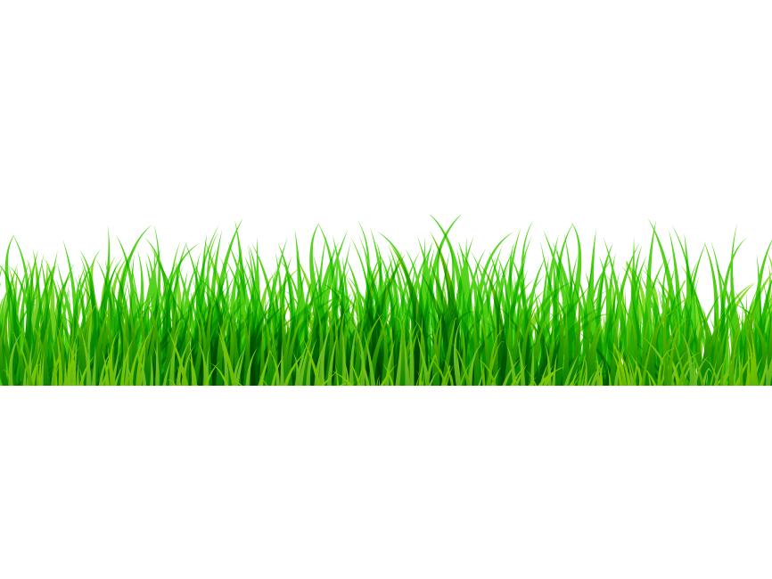 Green Grass