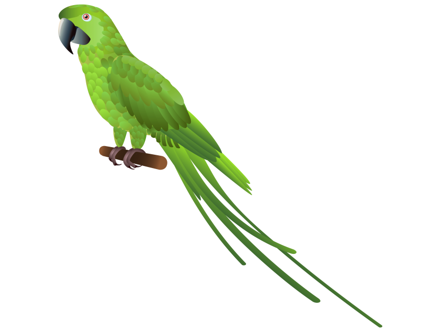 Green Parrot