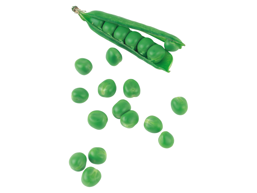 Green Pea