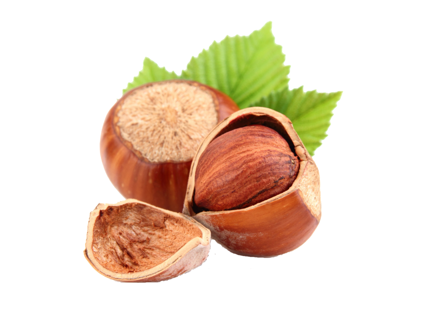 Hazelnut