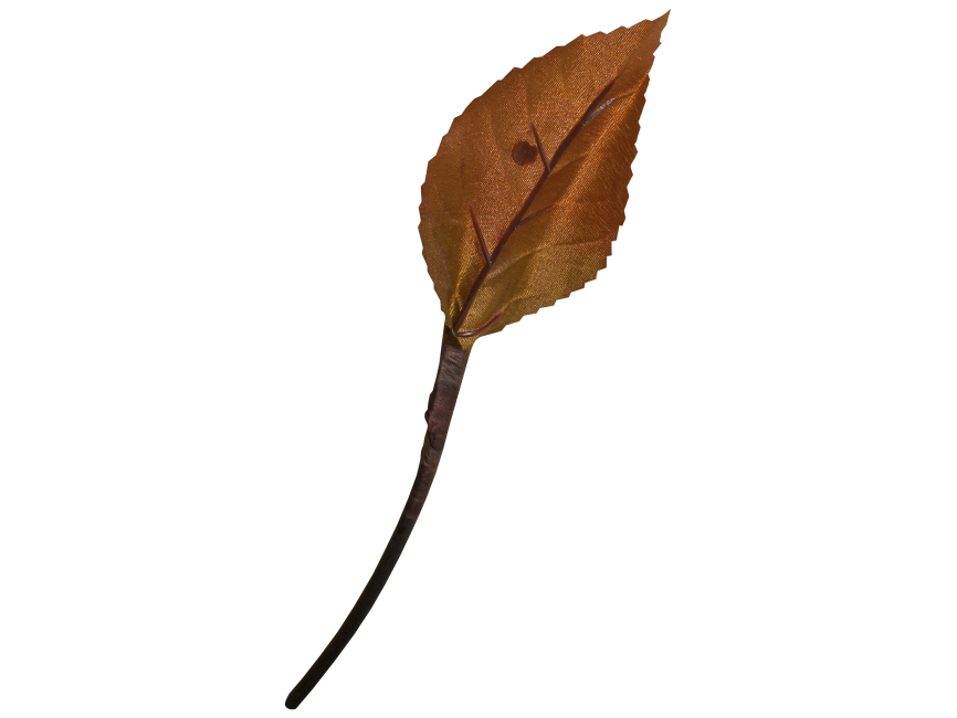 Leaf