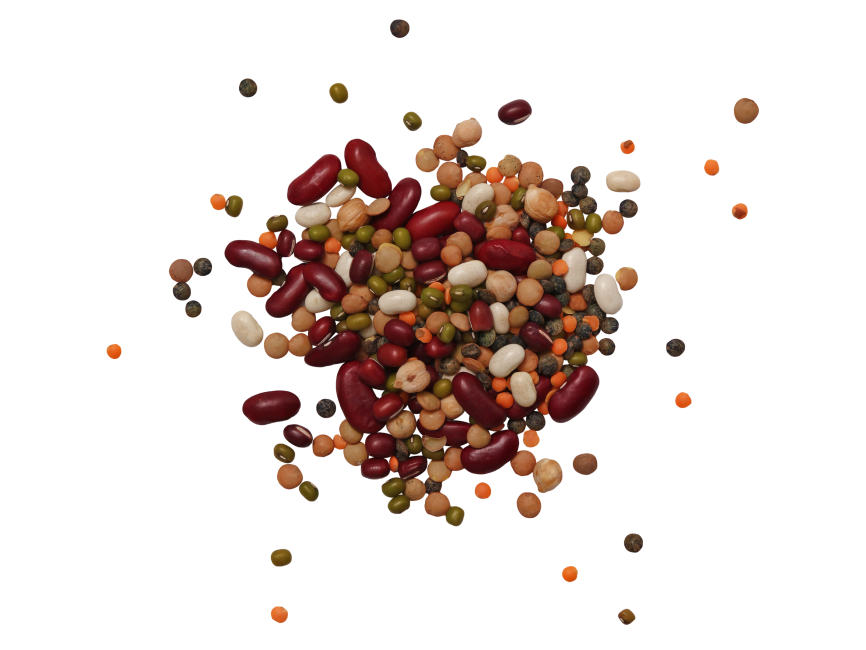 Legumes