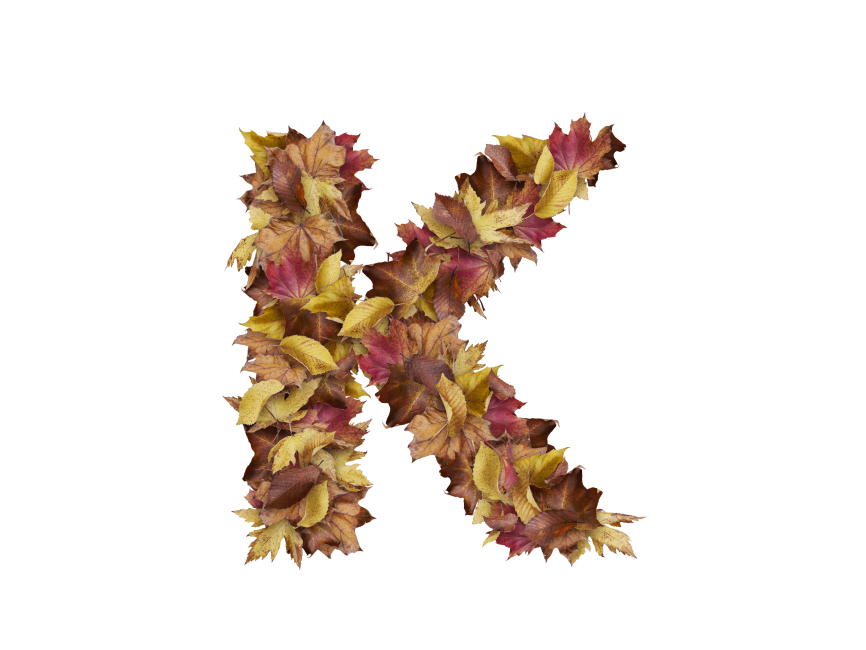 Letter K from Dry Leaves