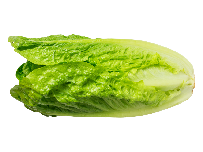 Lettuce