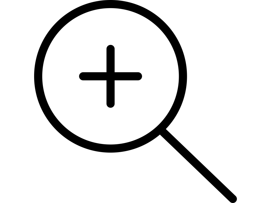 Plus Search Line Icon