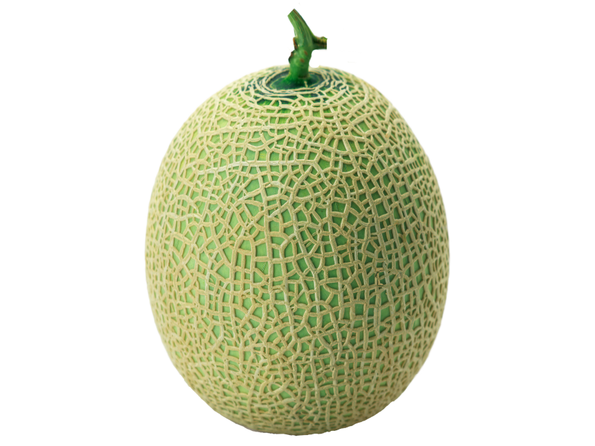 Melon