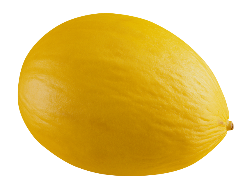 Melon