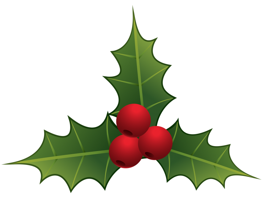 Mistletoe