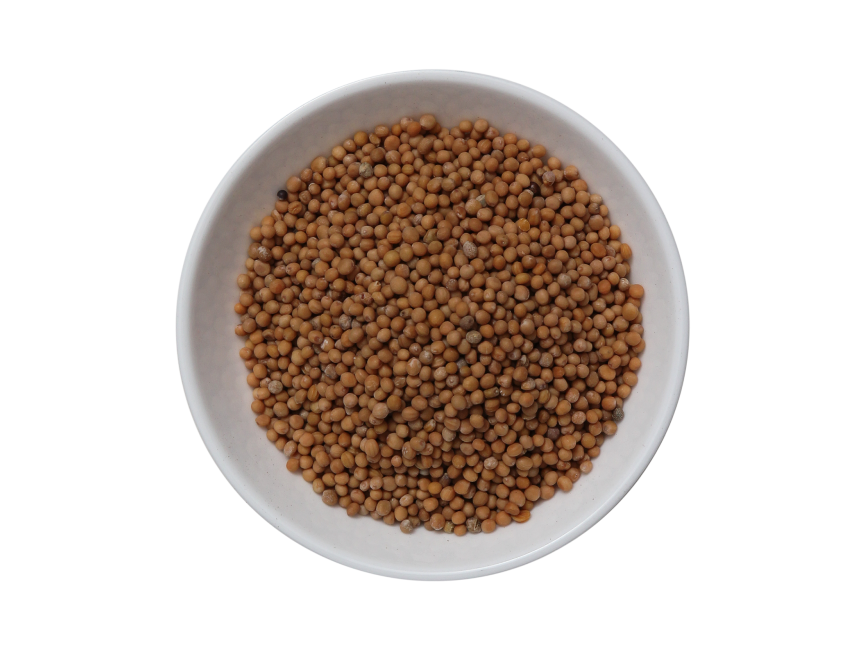 Mustard Seeds