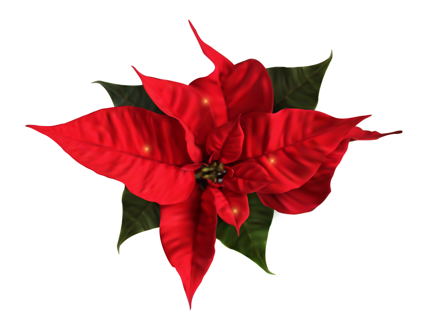 New Year and Christmas Cluster